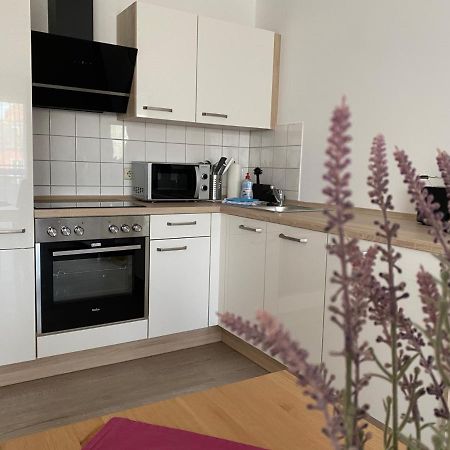 City-Appartement 12.3. ツウィッカウ エクステリア 写真
